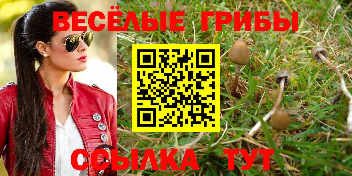 Галлюциногенные грибы GOLDEN TEACHER Ялта