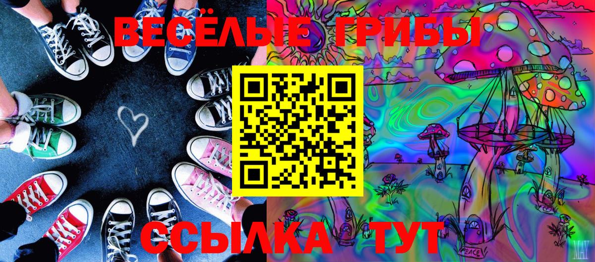 купить наркоту  Вход с VPN  Ялта  Псилоцибиновые грибы мицелий 