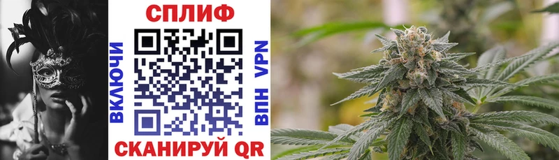 где купить наркоту Ялта блэк спрут онион Каннабис OG Kush